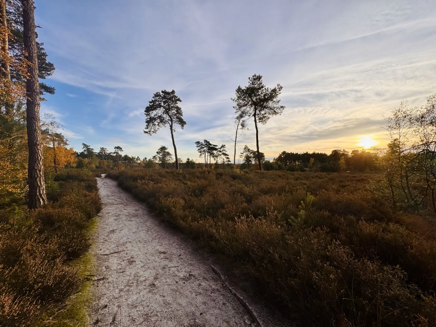 Natuur galerij 1