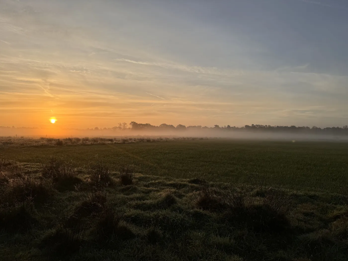 Natuur galerij 2